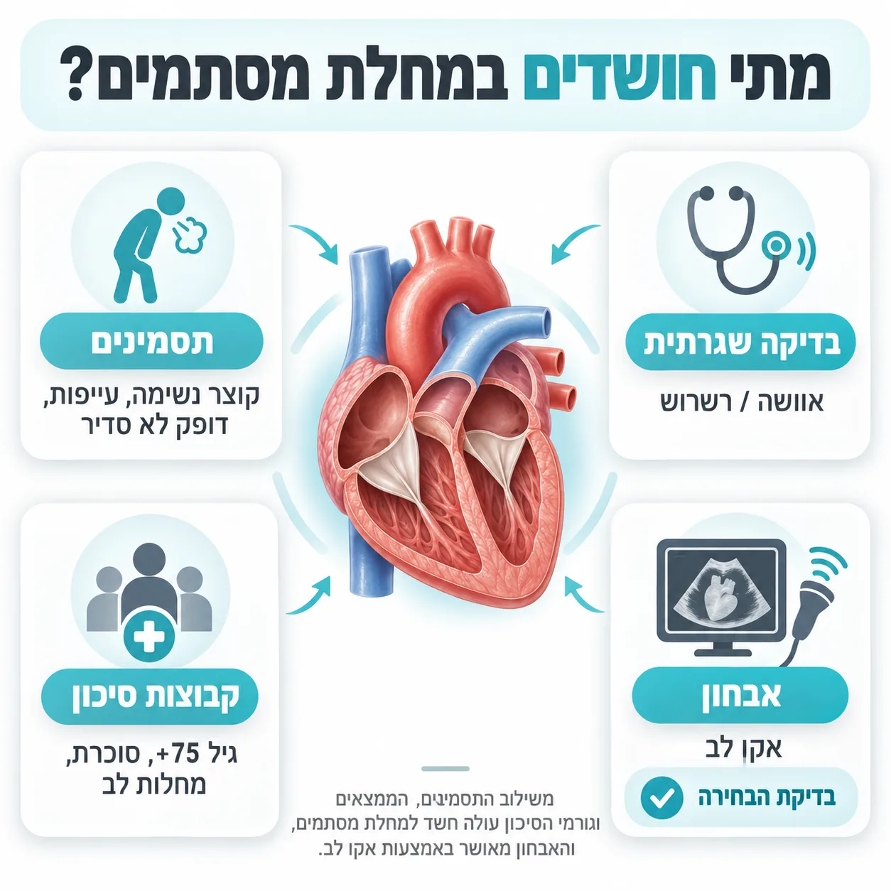אקו לב | אינפוגרפיקה